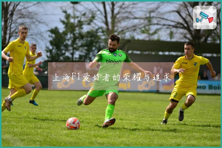 上海F1爱好者的荣耀与追求